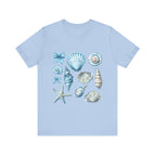 Baby Blue