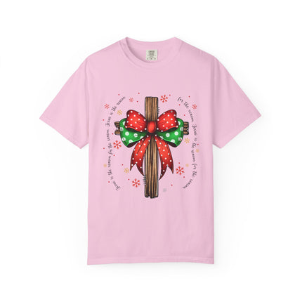 Jesus Is the Reason Tee